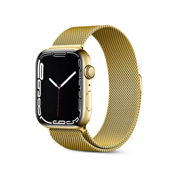 Premium Gold - Magnetband aus Edelstahllegierung