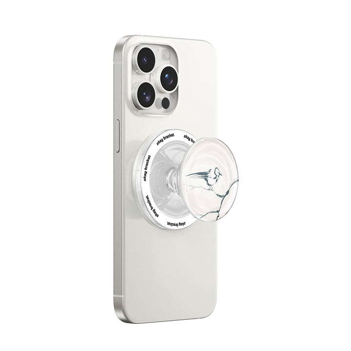 Vogelgezwitscher - MagSafe Airbag Griff