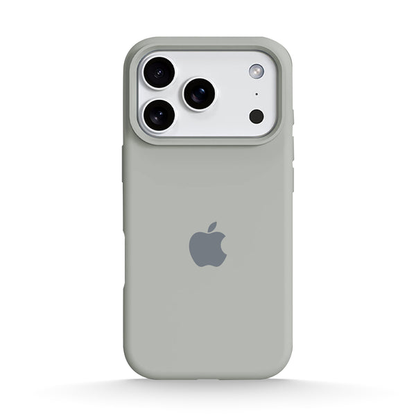 Steinasche - iPhone Handyhülle